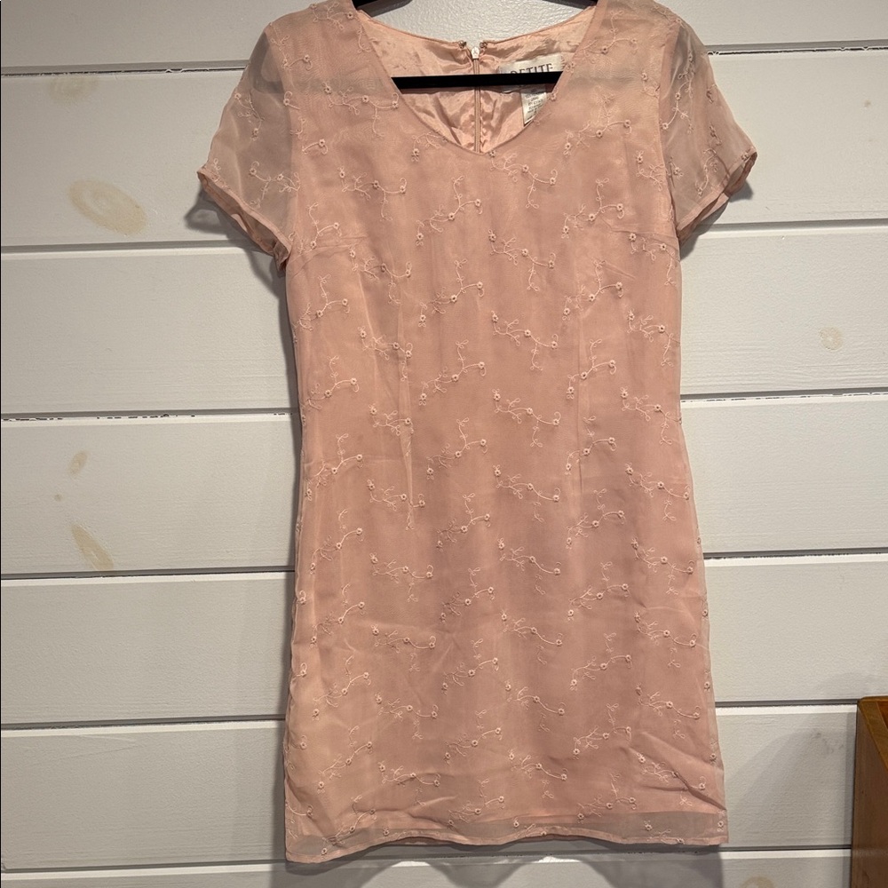 Petite Sophisticate Blush Embroidered Mini Dress size -4